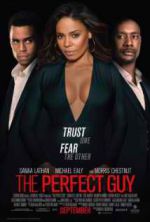 Watch The Perfect Guy 9Movies