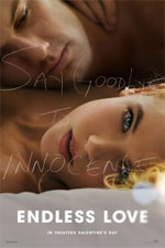 Watch Endless Love 9Movies