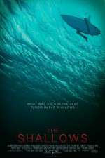 Watch The Shallows 9Movies