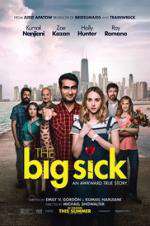 Watch The Big Sick 9Movies
