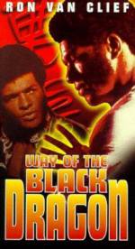 Watch Way of the Black Dragon 9Movies