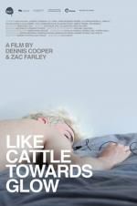 Watch Like Cattle Towards Glow 9Movies