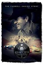 Watch Shelby American 9Movies
