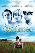 Watch Wildflower 9Movies