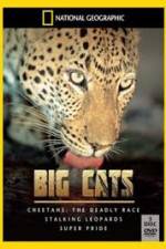 Watch National Geographic: Living With Big Cats 9Movies