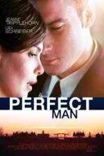 Watch A Perfect Man 9Movies