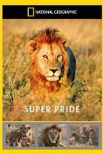 Watch National Geographic: Super Pride Africa\'s Largest Lion Pride 9Movies