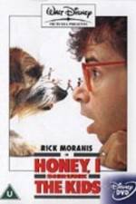 Watch Honey, I Shrunk the Kids 9Movies