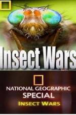 Watch National Geographic Insect Wars 9Movies