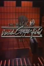 Watch The Magic of David Copperfield VII Familares 9Movies