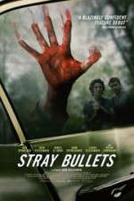 Watch Stray Bullets 9Movies