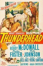 Watch Thunderhead: Son of Flicka 9Movies