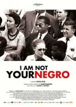 Watch I Am Not Your Negro 9Movies