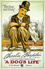 Watch A Dog's Life (Short 1918) 9Movies