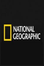Watch National Geographic  - Templars Lost Treasure 9Movies