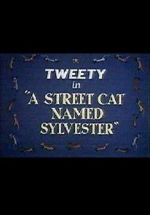 Watch A Street Cat Named Sylvester 9Movies