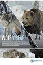 Watch Wolf vs Bear 9Movies
