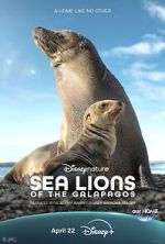 Watch Sea Lions of the Galapagos (TV Special 2025) 9Movies