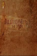 Watch National Geographic Brilliant Beasts Dog Genius 9Movies