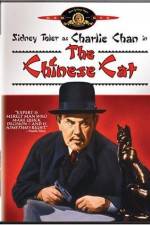 Watch Charlie Chan in The Chinese Cat 9Movies