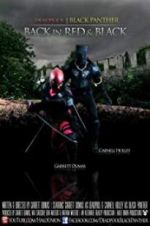 Watch Deadpool and the Black Panther 9Movies
