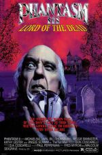 Watch Phantasm III: Lord of the Dead 9Movies