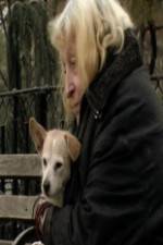 Watch Water in the Boat 9Movies