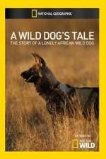 Watch A Wild Dogs Tale 9Movies