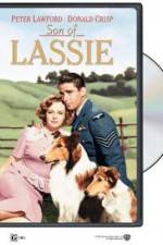 Watch Son of Lassie 9Movies