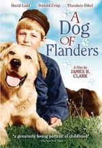 Watch A Dog of Flanders 9Movies