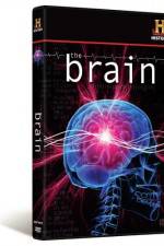 Watch The Brain 9Movies