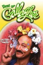 Watch Gallagher Stuck in the Sixties 9Movies