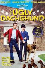 Watch The Ugly Dachshund 9Movies
