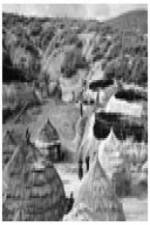 Watch Shelter 9Movies