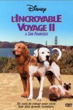 Watch Homeward Bound II Lost in San Francisco 9Movies