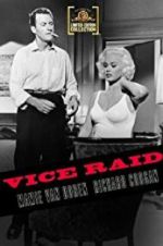 Watch Vice Raid 9Movies