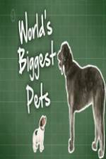 Watch World's Biggest Pets 9Movies