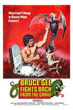 Watch Bruce Lee Fights Back from the Grave 9Movies