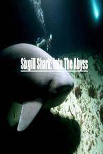 Watch National Geographic Wild Sixgill Shark Into The Abyss 9Movies