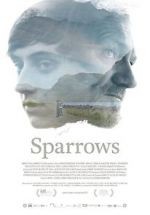 Watch Sparrows 9Movies