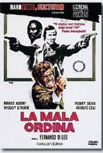 Watch The Italian Connection 9Movies