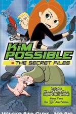 Watch "Kim Possible" Attack of the Killer Bebes 9Movies