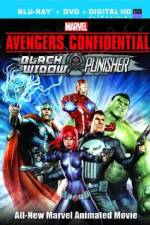 Watch Avengers Confidential: Black Widow & Punisher 9Movies
