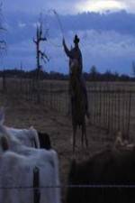 Watch Cowboy Christmas 9Movies