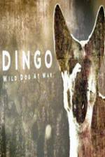 Watch Dingo Wild Dog at War 9Movies