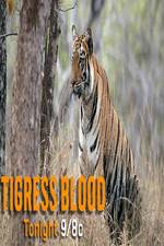 Watch Discovery Channel-Tigress Blood 9Movies
