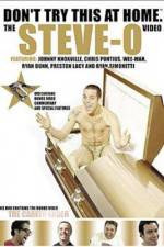 Watch Don't Try This at Home The Steve-O Video 9Movies