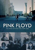Watch Pink Floyd: The Story of Wish You Were Here 9Movies