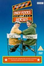 Watch The Story of Only Fools and Horses 9Movies