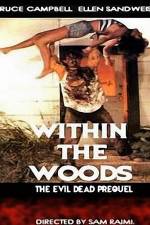 Watch Within the Woods 9Movies